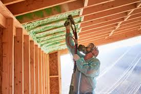 Best Eco-Friendly or Green Insulation Solutions  in Bigfork, MT